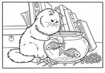 Persian cat with a paw in a fishbowl.