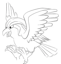 Піджет (англ.pidgeot)