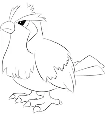 Піджі (англ.pidgey)