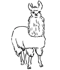 Південноамериканська лама