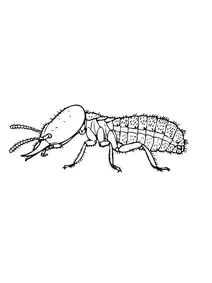 Північноамериканський терміт (reticulitermes flavipes)