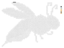 Pixel honey bee color by number