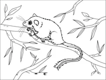Планер feathertail