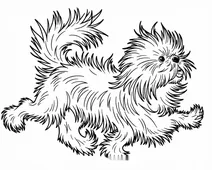 Playful fluffy puppy in motion