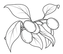 Кумкват