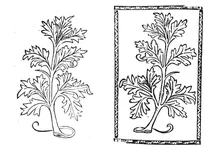 Полин, 1497-1500