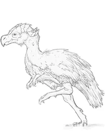 Primal rage contest — терроарк