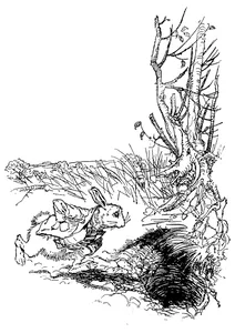 Пригоди аліси в країні див – артур рекхем, 1907