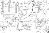 Psilopterus bachmanni prehistoric bird