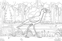 Psilopterus in the forest