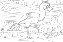 Psilopterus lemoinei by a lake