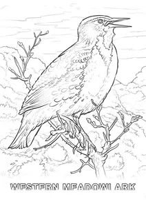 Птах-символ штату північна дакота