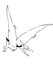 Pteranodon