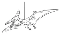 Pterodactyls