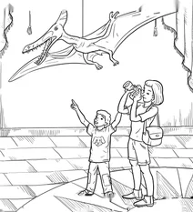 Pterosaur exhibit at the museum
