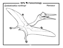Птерозаври (quetzalcoatlus northropi)