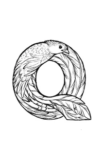 Q — кецаль