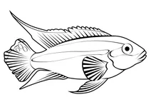 Райдужний криб (pelvicachromis pulcher)