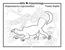 Рептилія тріасового періоду (drepanosaurus unguicaudatus)