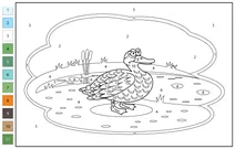 Розфарбування за номерами: качка
