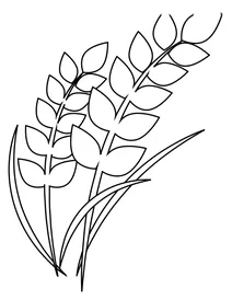 Рисовий сніп