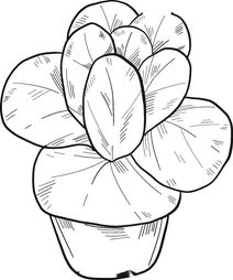 Салат в горщиках