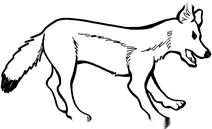 Самиця лисиці