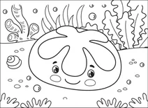 Sanddollar