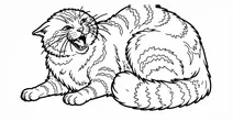 Scottish wildcat with classic defensive posture