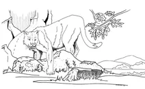 Шаблезуба кішка (nimravus brachyops) в кам’янистому крaєвиді