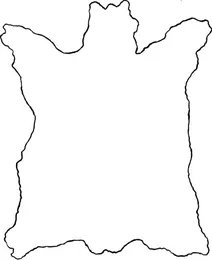 Шкура бізона
