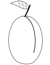 Слива