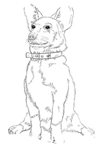 Коргі
