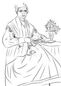 Сожурне трус