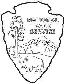 Стріловидна емблема nps