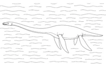 Styxosaurus swimming in the sea