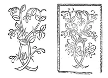 Сурроуч, 1497-1500