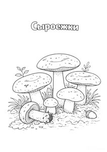 Розмальовка ««Сироїжки»»: роздрукувати, завантажити