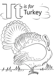 T — індичка