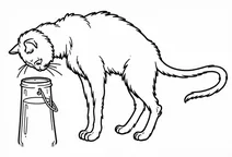 Thirsty kitty looking at a jar of milk