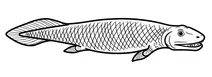 Tiktaalik