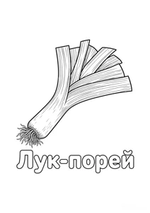 Цибуля-порей