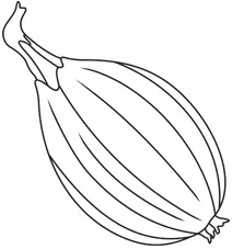 Цибуля цибулі