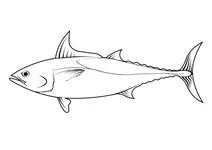 Тунець малий (euthynnus alletteratus)