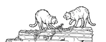 Two cats hissing on a brick wall