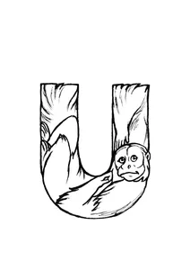 U — уакарі