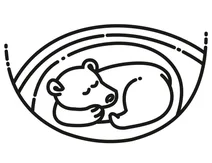Ведмеже лігво