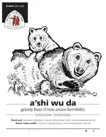Ведмідь грізлі (ursus arctos horribilis)