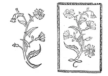 Вегвісс, 1497-1500