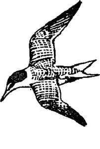 Вінтажний lestern